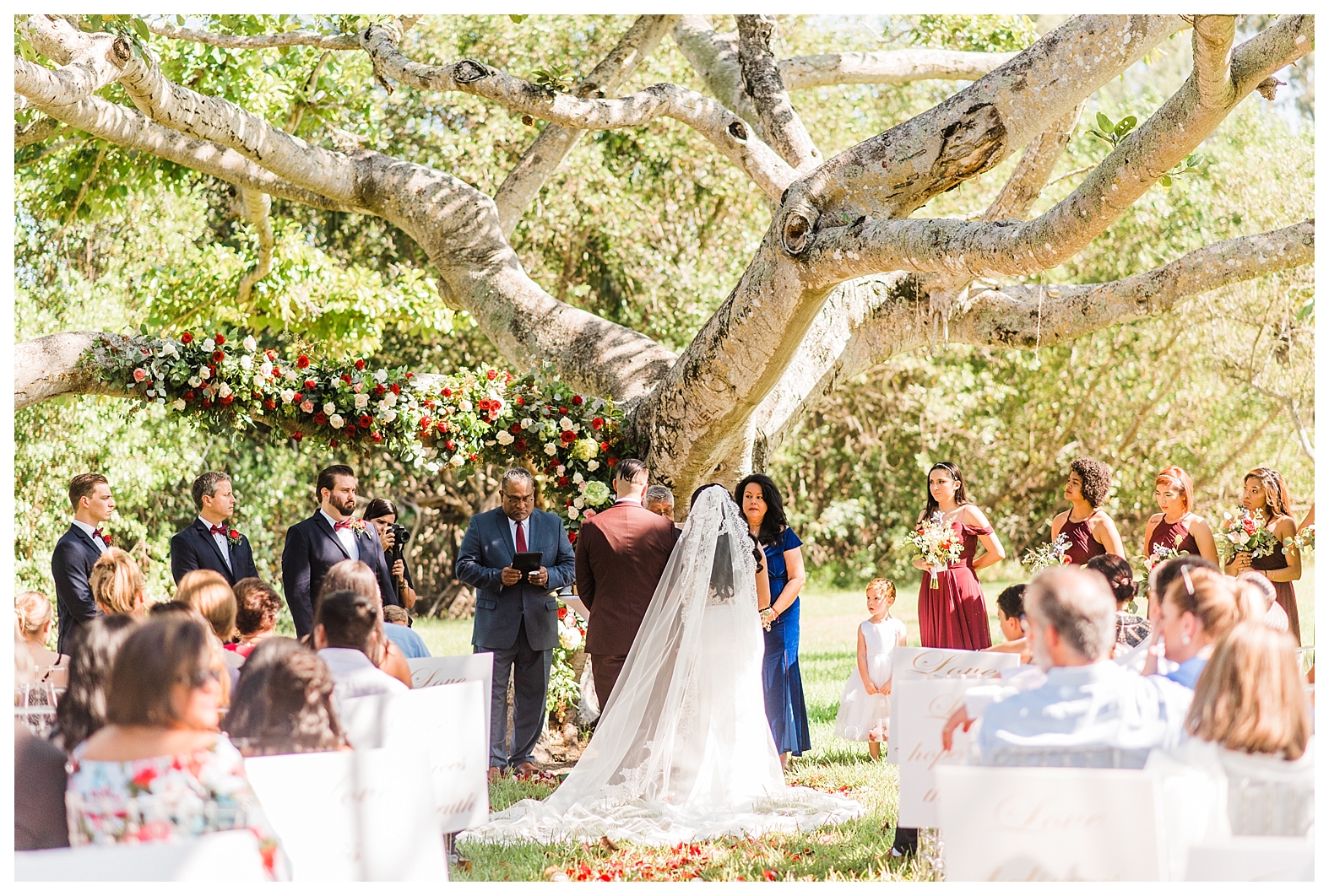 Matheson Hammock Park Wedding Miami Florida