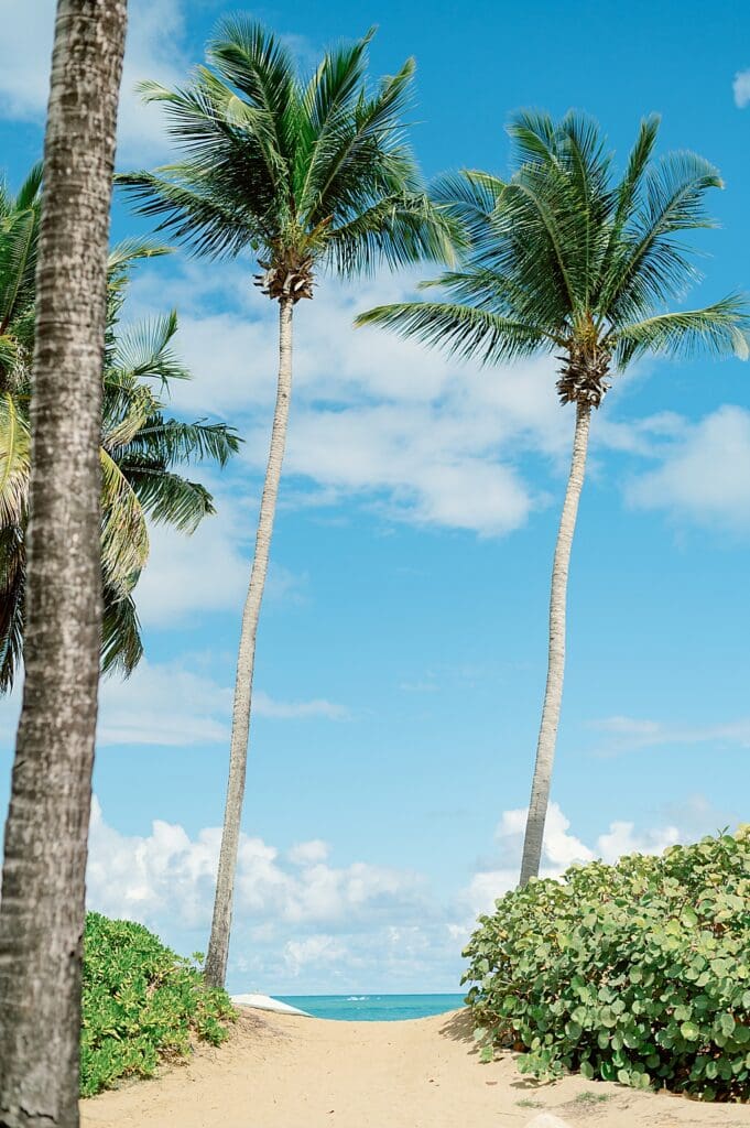The beach view at Wyndham Grand Rio Mar